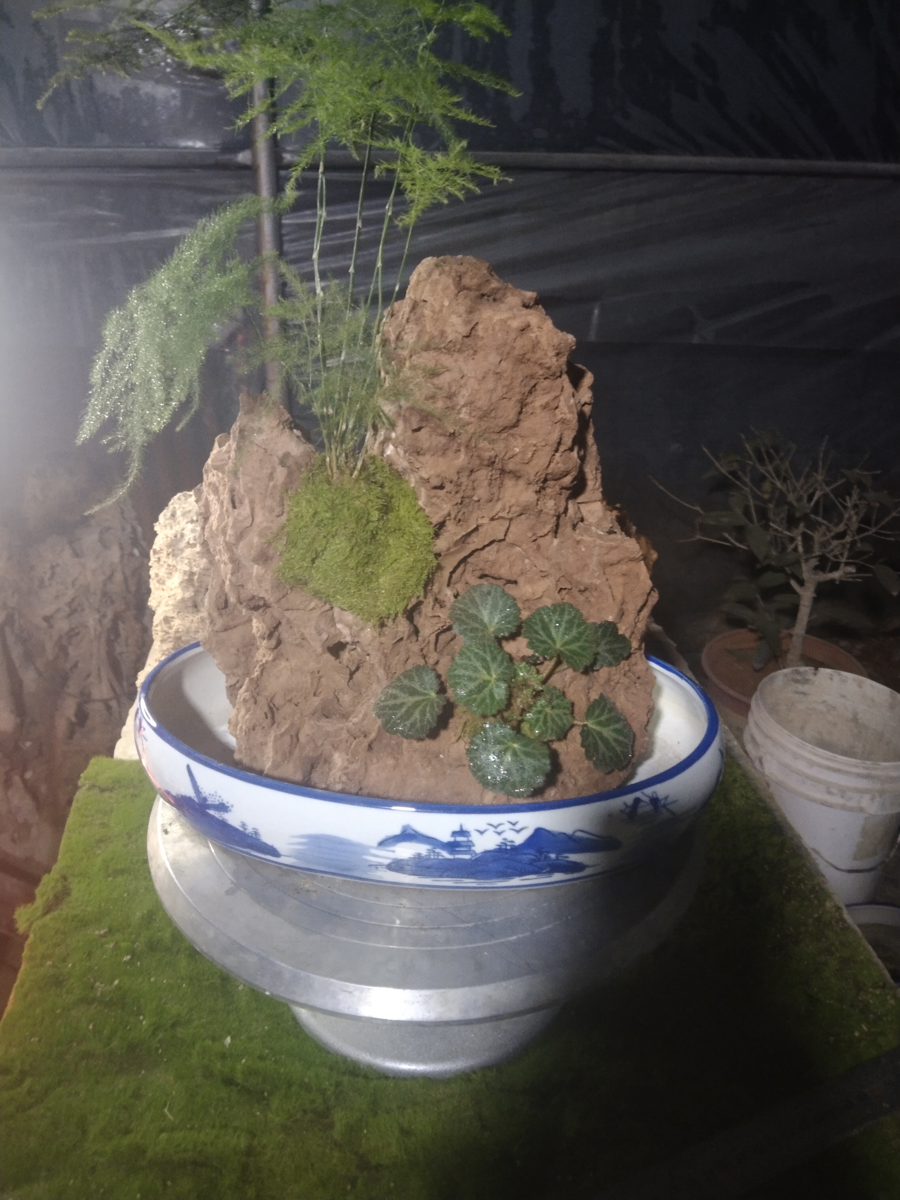 吸水石盆景假山石头