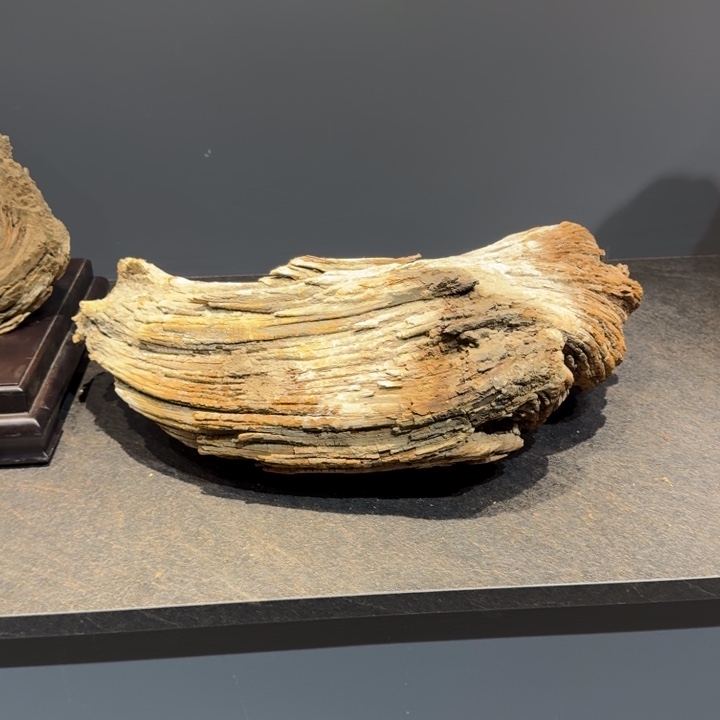 北***木柏木（崖柏）嗯、这就是为什么不在这里上班