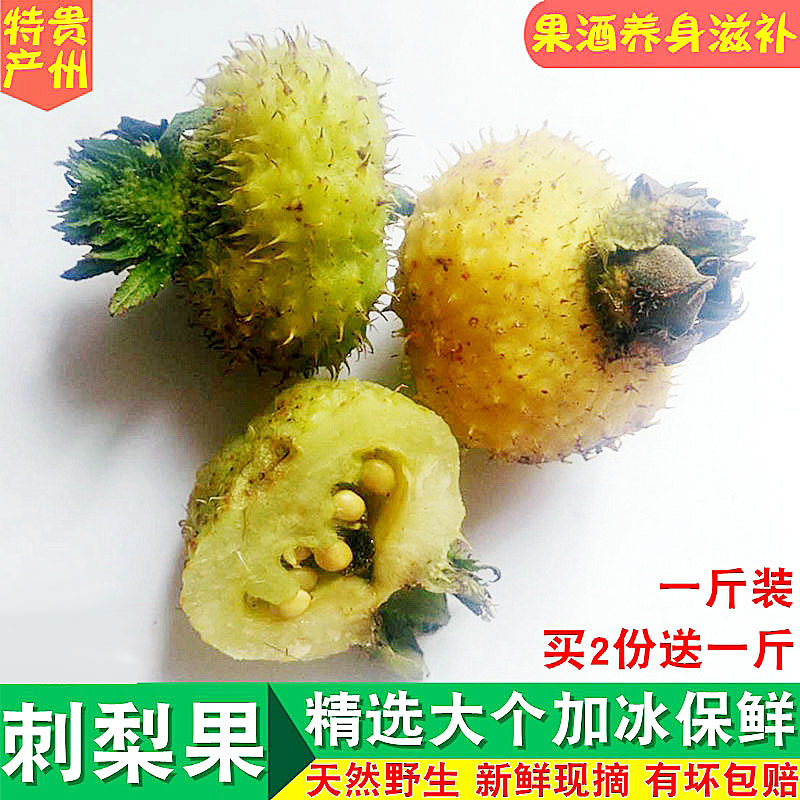 贵州特产新鲜刺梨顺丰冷链加冰锁鲜可泡酒泡水佛朗果野生茨梨菠萝