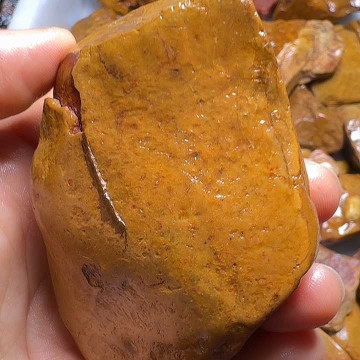 寿山石寿山石的颜色