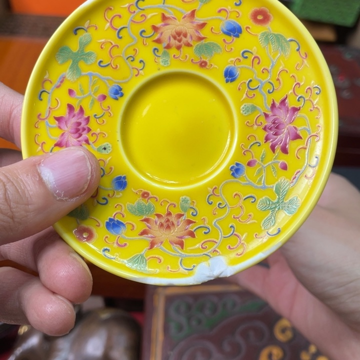 贝壳摆件烽云恩专属精选链接