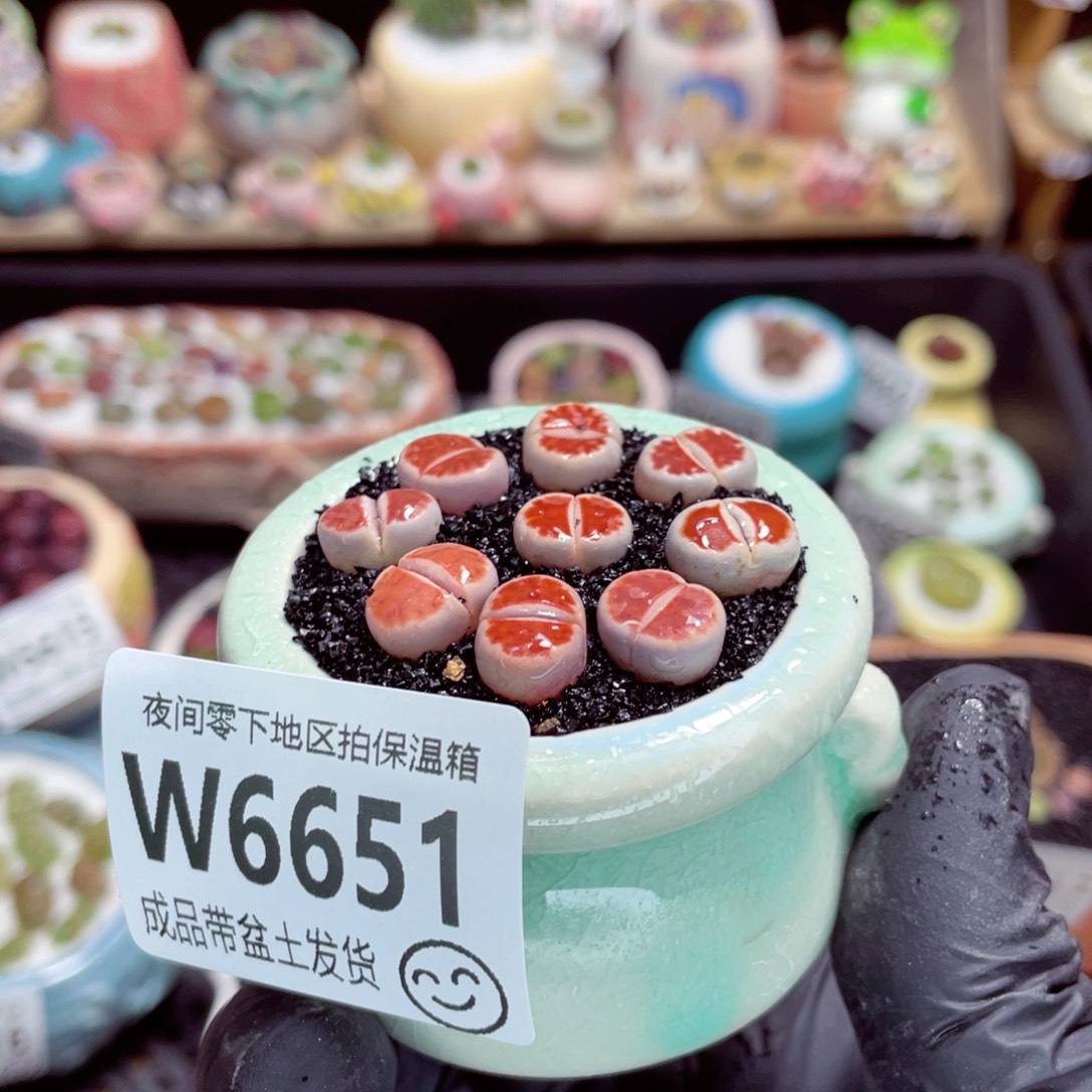 夜间零下地区拍保温箱w6651