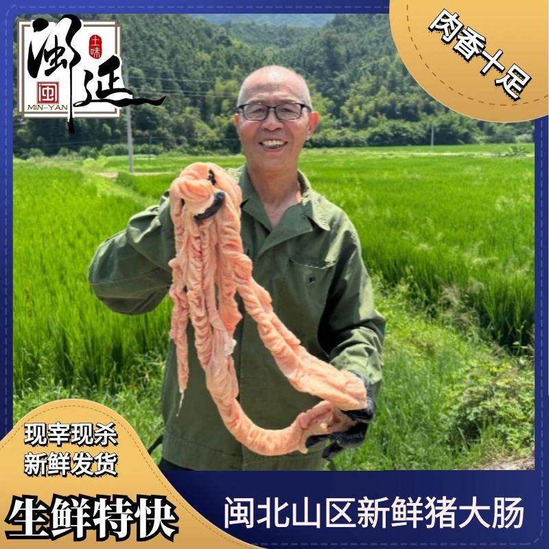 黑猪新鲜猪大肠猪大肠生鲜猪大肠直播卖货新鲜生猪大肠肥肠猪肠