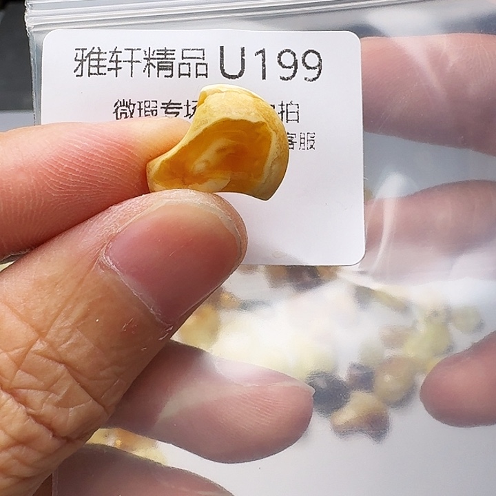 裸石琥珀未镶嵌琥珀