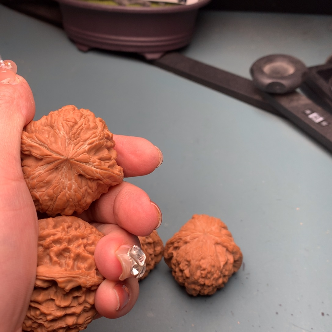 文玩核桃把件和尚头4243