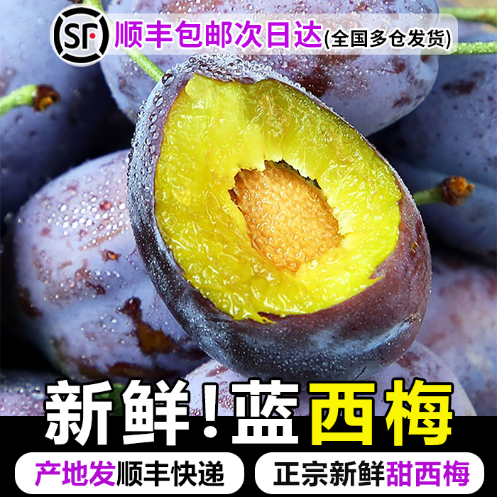 XX【顺丰包邮】新鲜现摘西梅当季鲜果放软后吃香甜多汁次日达