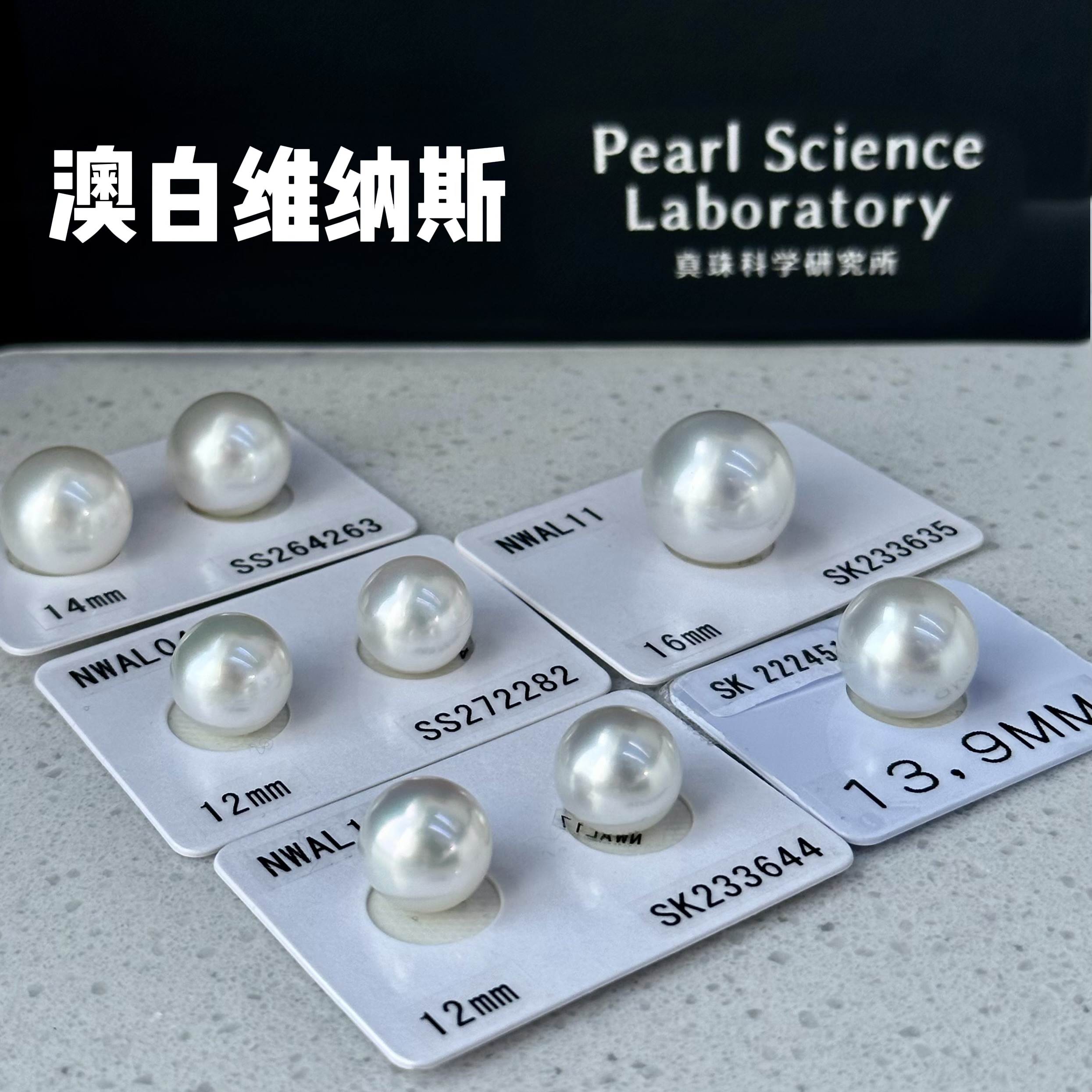 【日本真科研】海水澳白维纳斯真科研凤凰单珠一珠一证多样发一