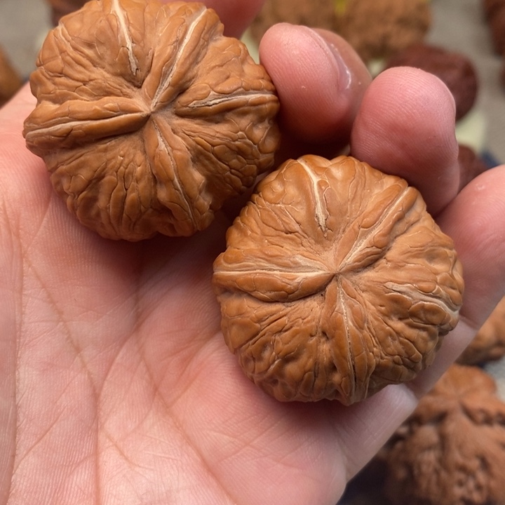 文玩核桃把件吴****上核桃