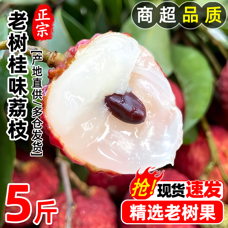 【冷链速运】正宗桂味荔枝新鲜现摘老树水果鲜甜多汁