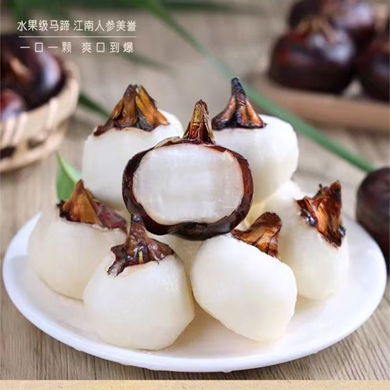 广西马蹄新鲜荔浦马蹄荸荠红皮正宗清甜现挖特产苹果新鲜精选