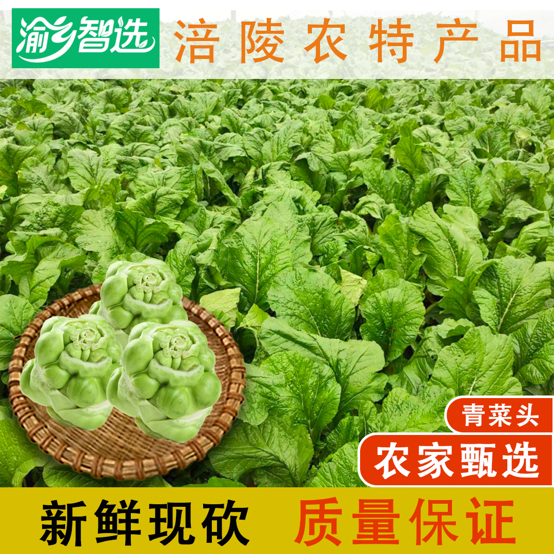 重庆涪陵本地新鲜青菜头