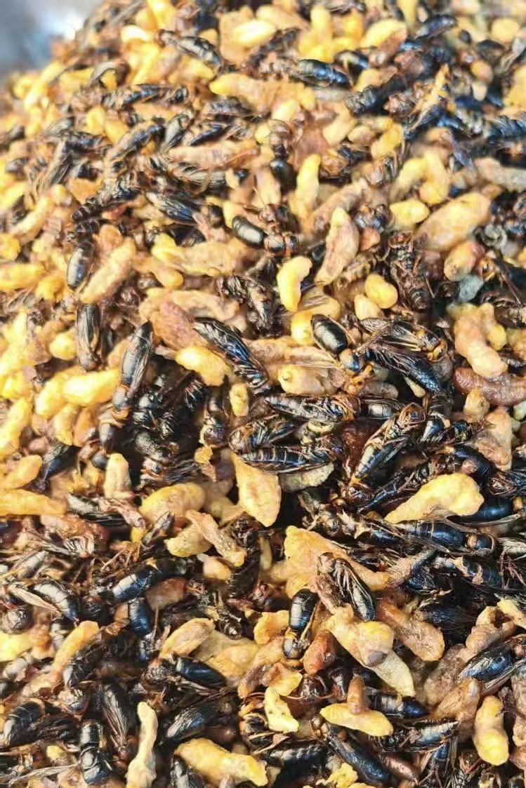 双十二福利下酒菜【树峰七里峰】新鲜纯菜籽油炸山野蜂蛹34级