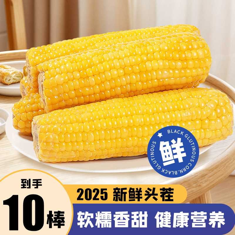 【试吃2根】东北糯玉米10支甜糯玉米棒早餐代餐黄糯玉米新鲜糯玉米