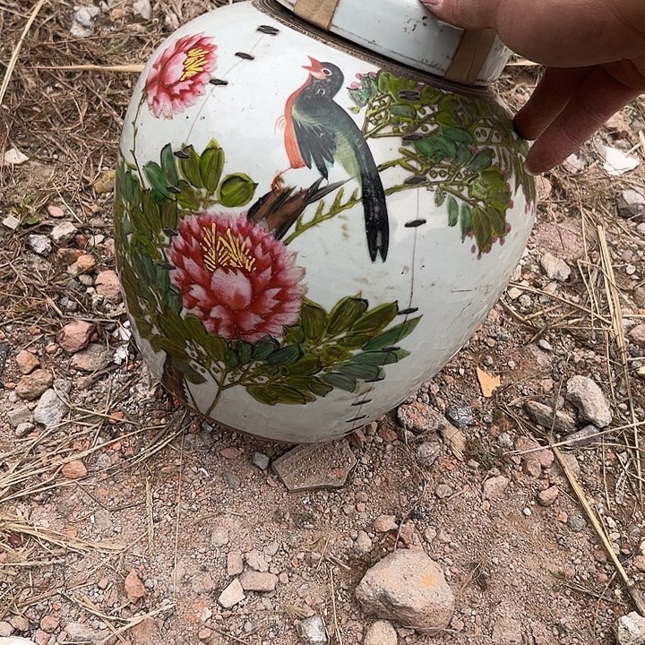 菁***品杂色豆（科檀/科特迪瓦檀木）