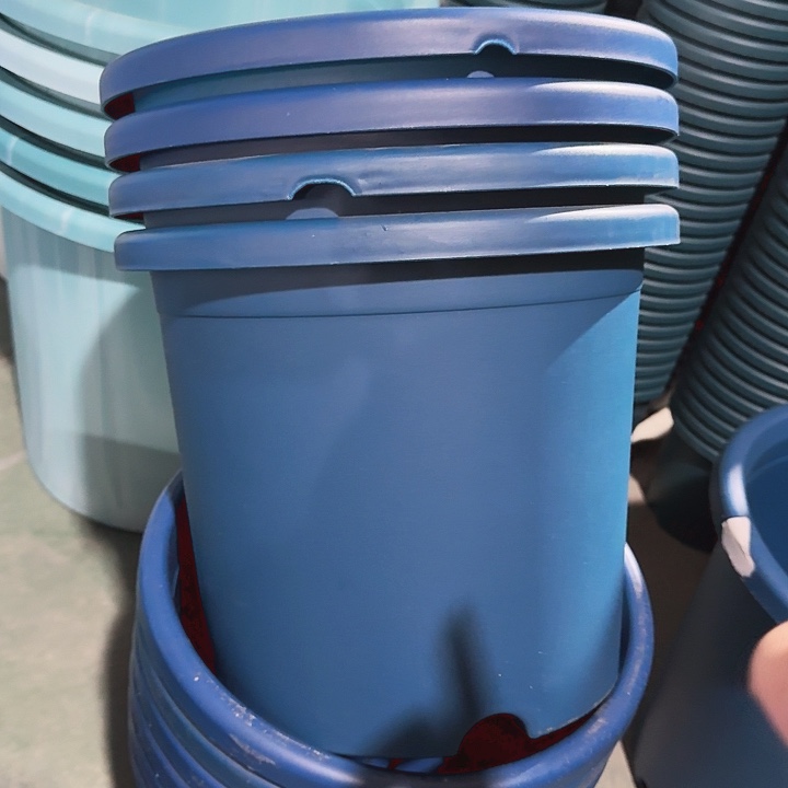 缺口5#口径29藏青5个无托