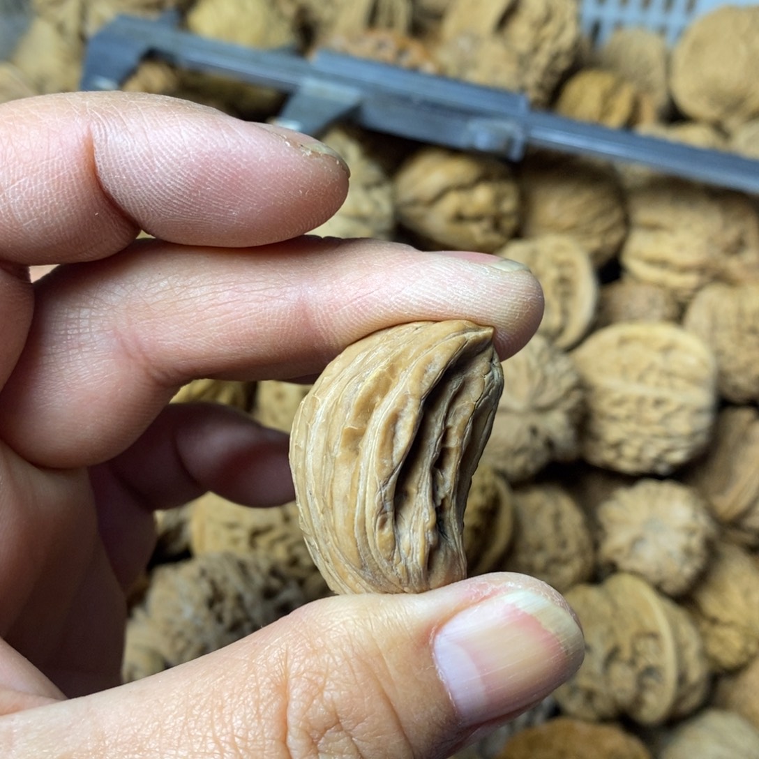 谦***@文玩核桃吊坠文玩