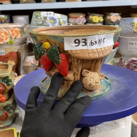 【闪购商品】红陶1