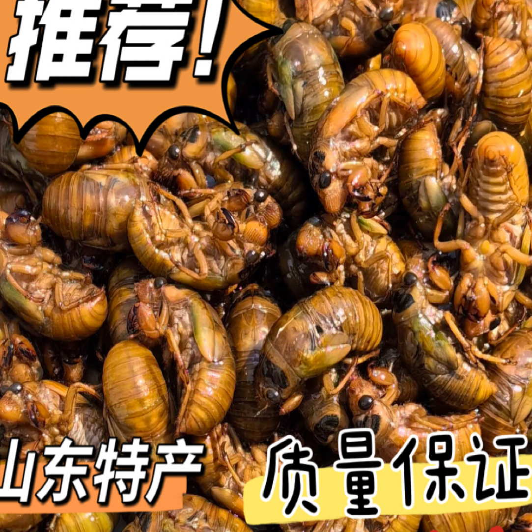 2025节流鬼美味特产冷冻可食用金1爬