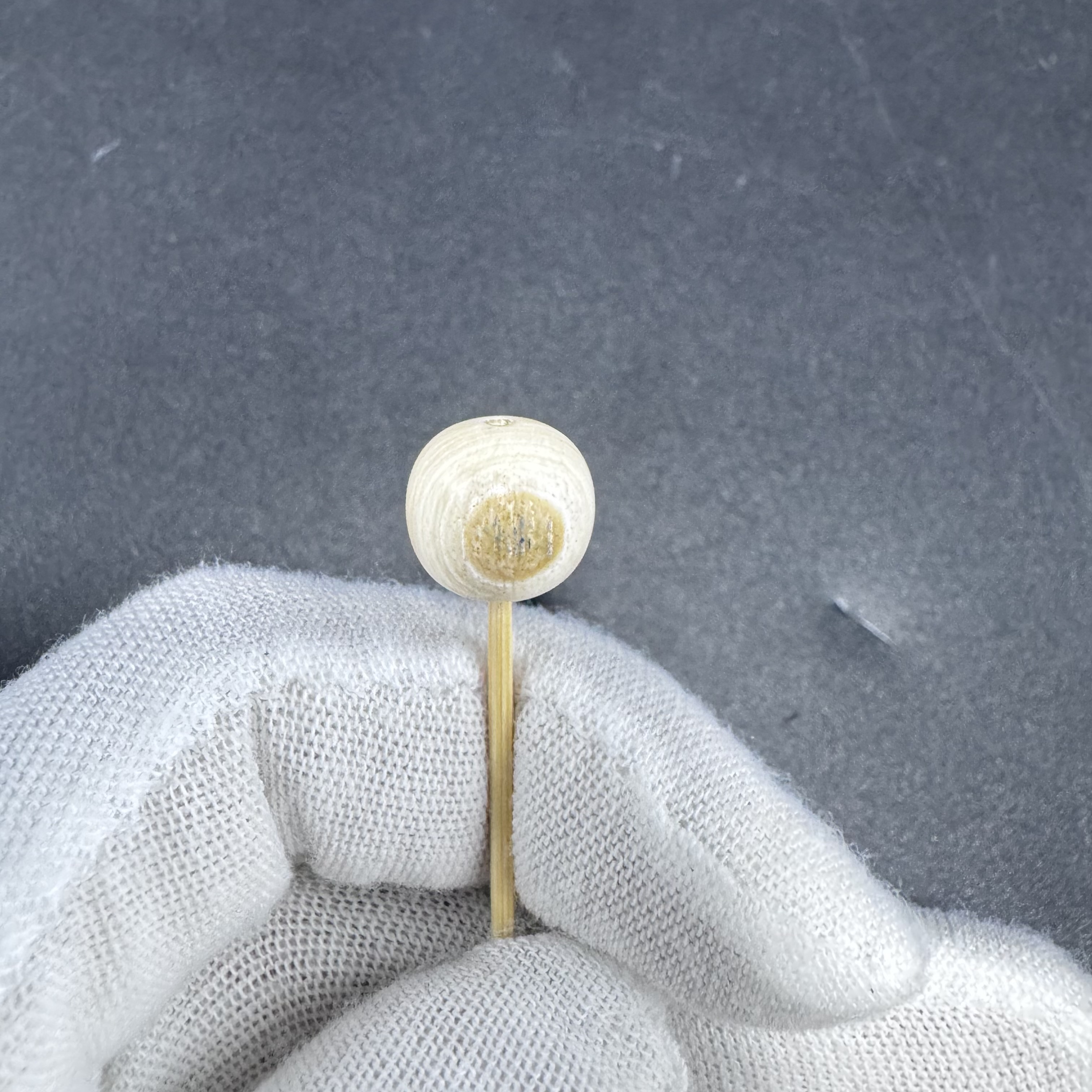 DZ0210天然猛犸牙11*12mm老型单株