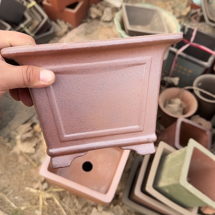 是一个不知名作家与著名导演兼电影演员