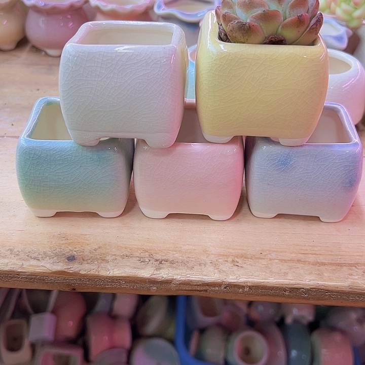 陶瓷花盆当场凑满12包邮