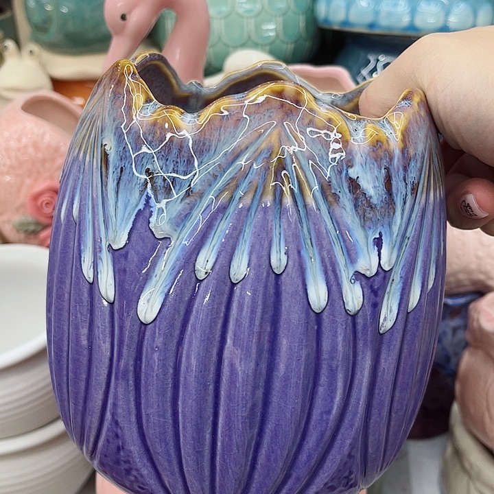 多肉植物陶瓷花盆