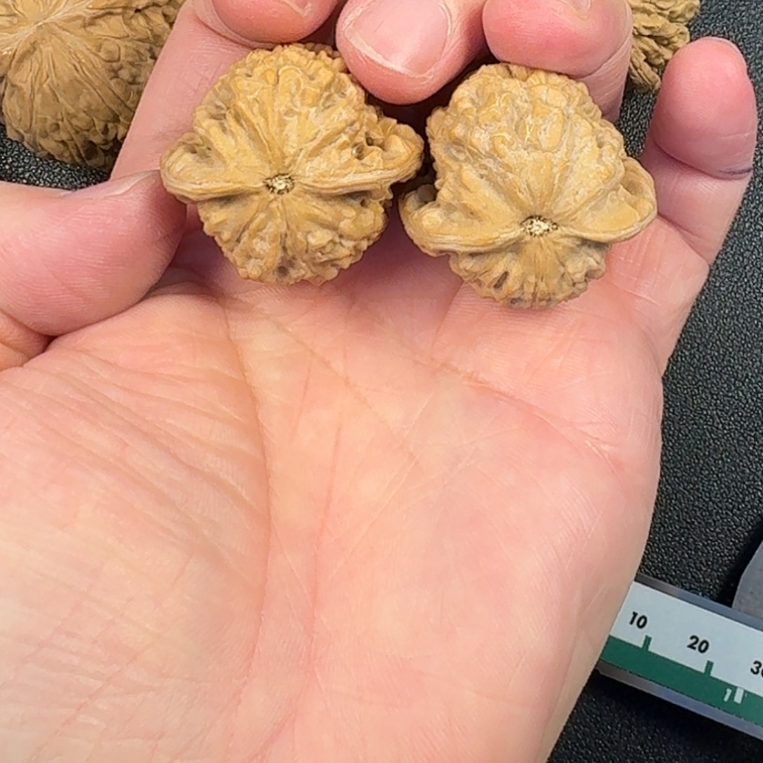 奶***糖文玩核桃吊坠小众