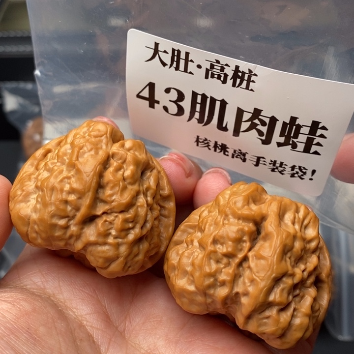 文玩核桃把件43肌肉蛙