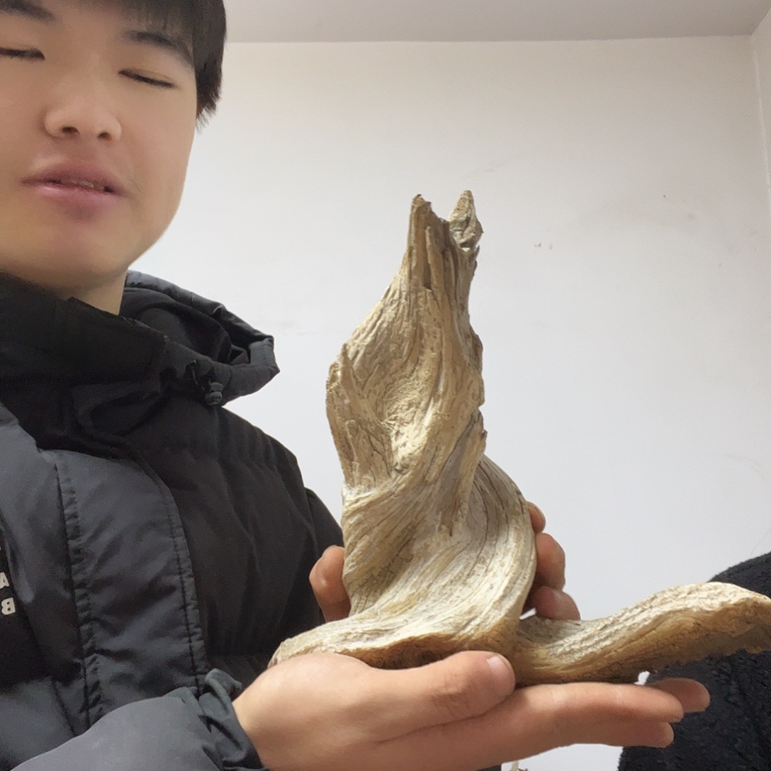 黔***游柏木（崖柏）好想去看看这个节目