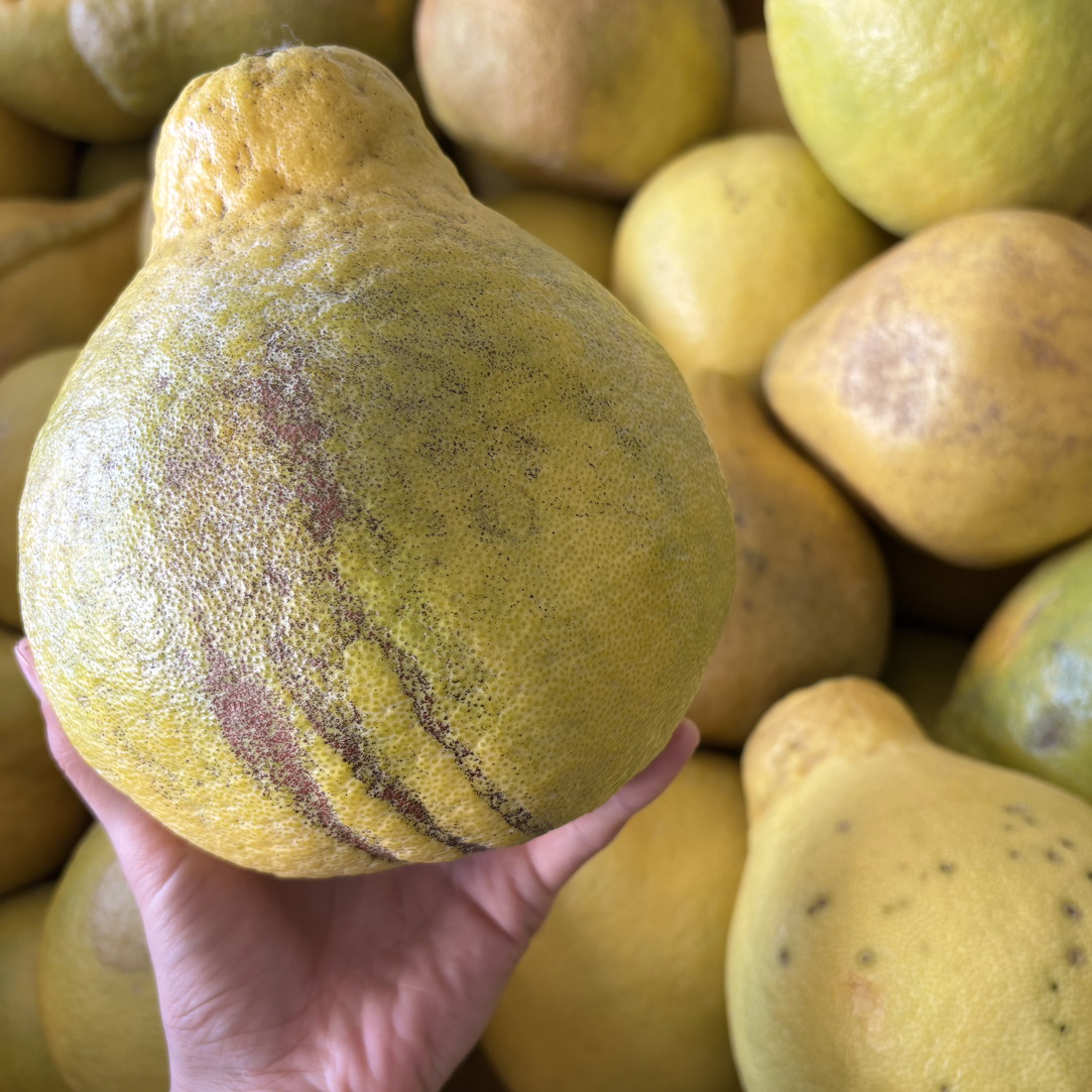 （花皮果30斤）梅州老树沙田柚纯甜无酸新鲜应季水果产地直发