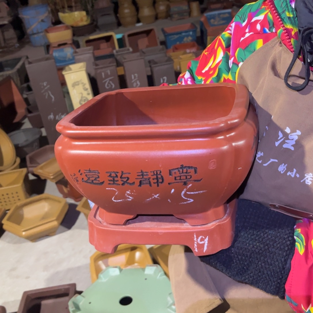 紫砂花盆盆景艺术