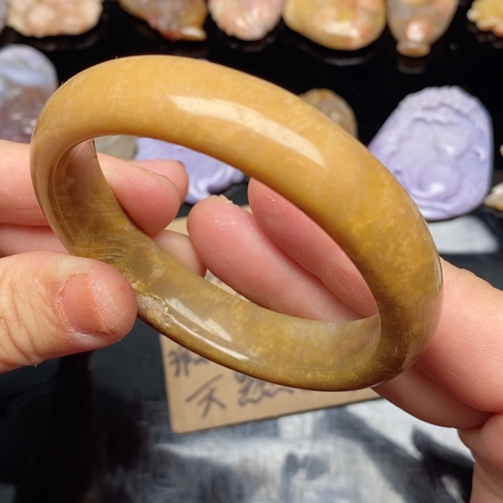 硅化珊瑚（珊瑚玉）手镯未镶嵌57