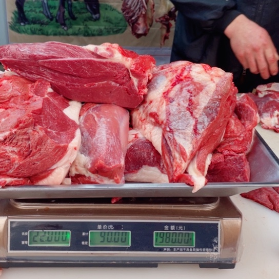 【闪购商品】冷冻保存30天包装河北省海*