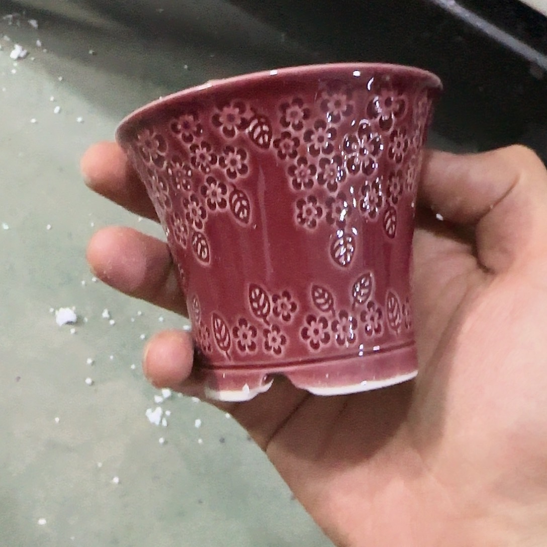 ··福利局·订单满9元合并发··995