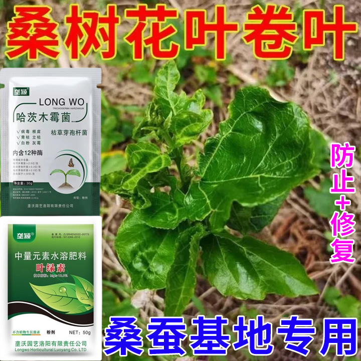 桑树病毒病专用肥料桑叶卷叶花叶黄叶萎缩白粉病炭疽病桑树叶面肥