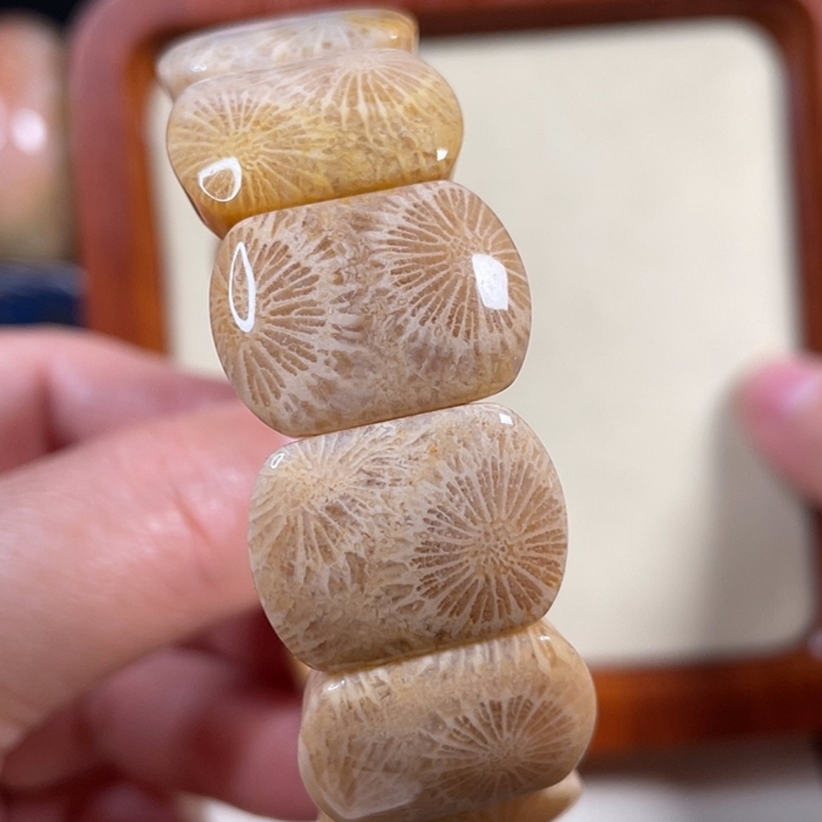 【闪购商品】硅化玉吊坠(赠链)未镶嵌