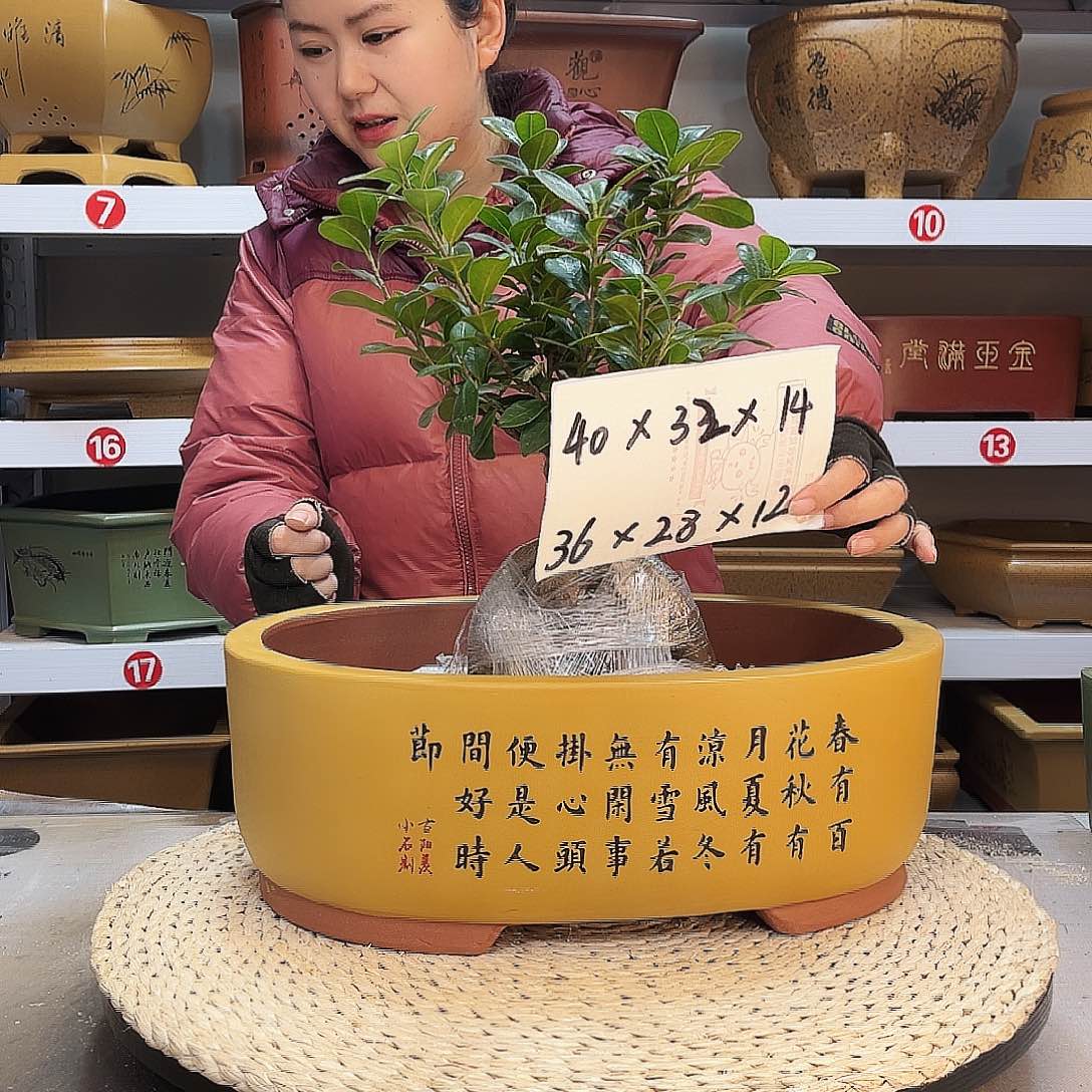 紫砂花盆紫砂花盆