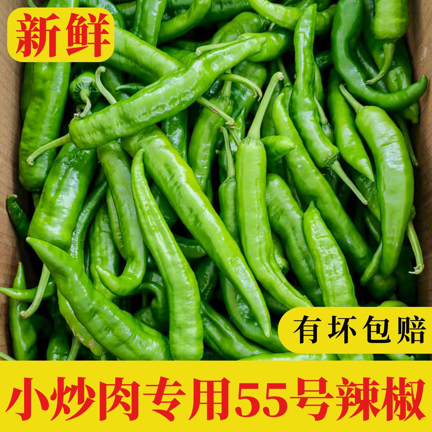 农家大棚自种新鲜55号辣椒皮肉脆香辣可口