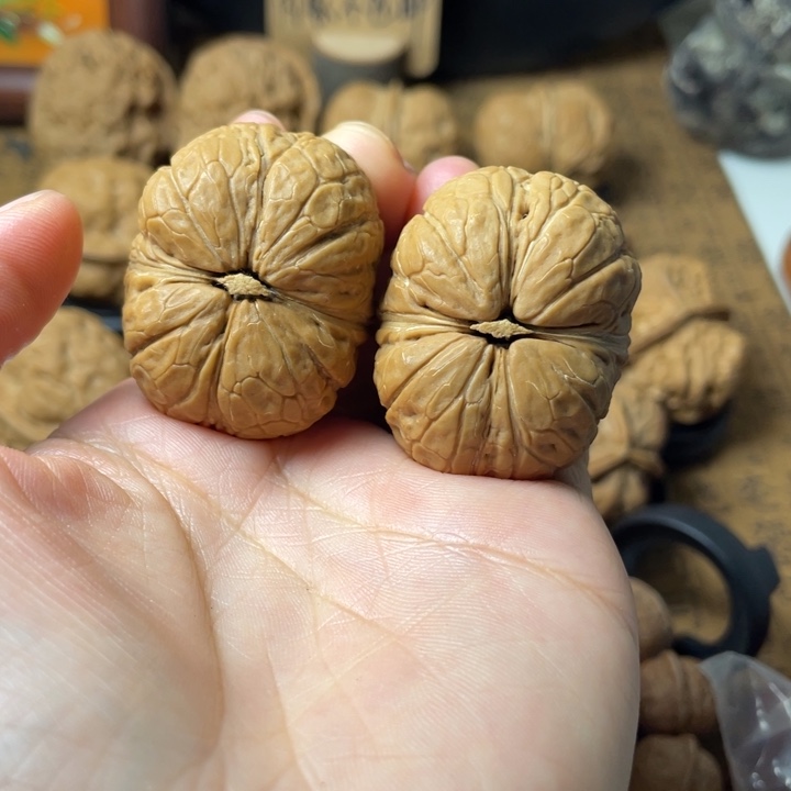 不***吖云南野生铁核桃编号102