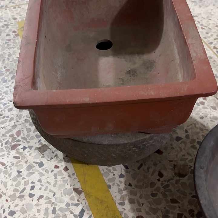 核桃木/黑胡桃（胡桃木）年*