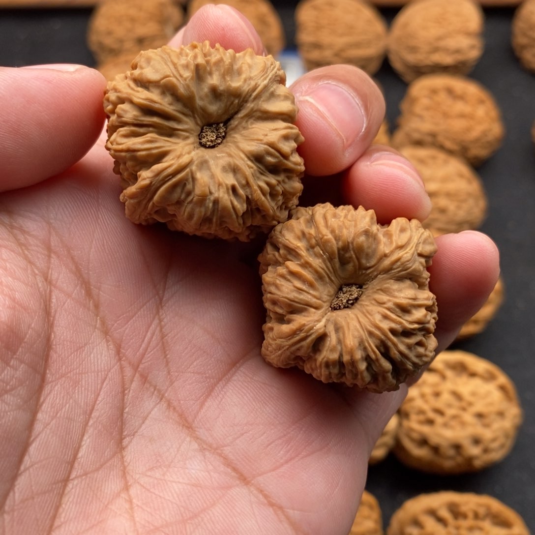 文玩核桃把件星*8好好