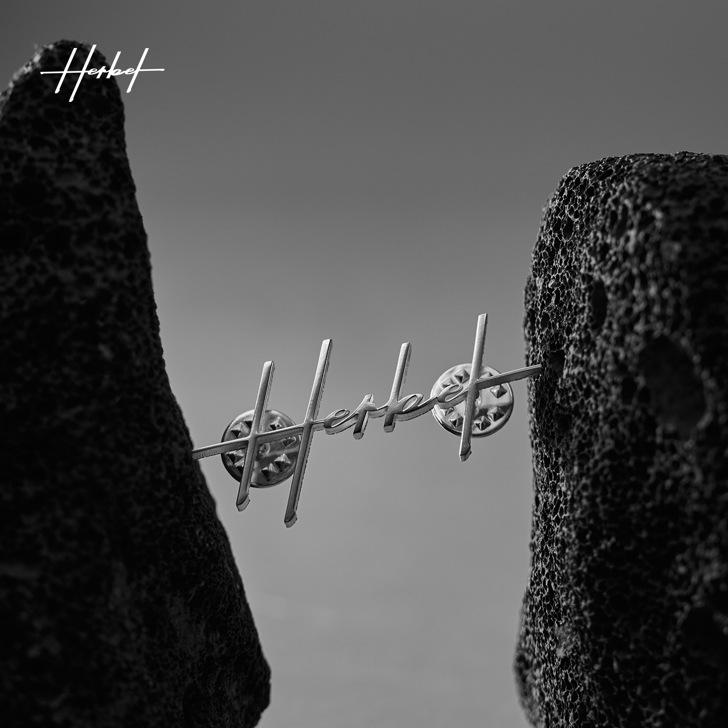 HERBEL/黑白高端定制银质胸针