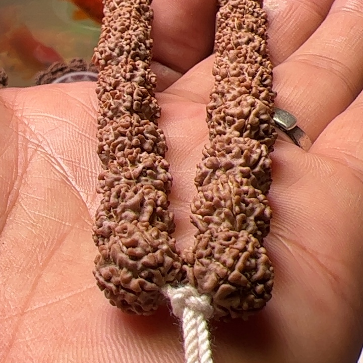 金刚菩提手串12野生大金刚