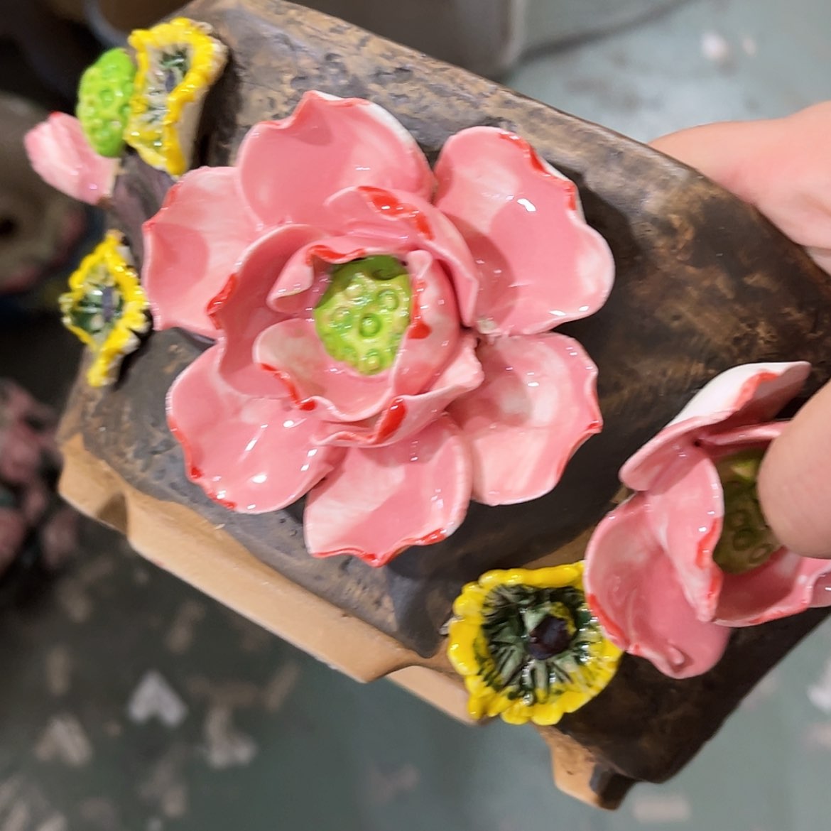 【闪购商品】红陶福利