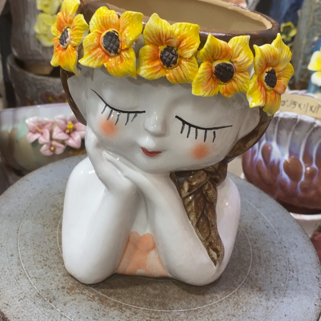 满18.8米包邮发货