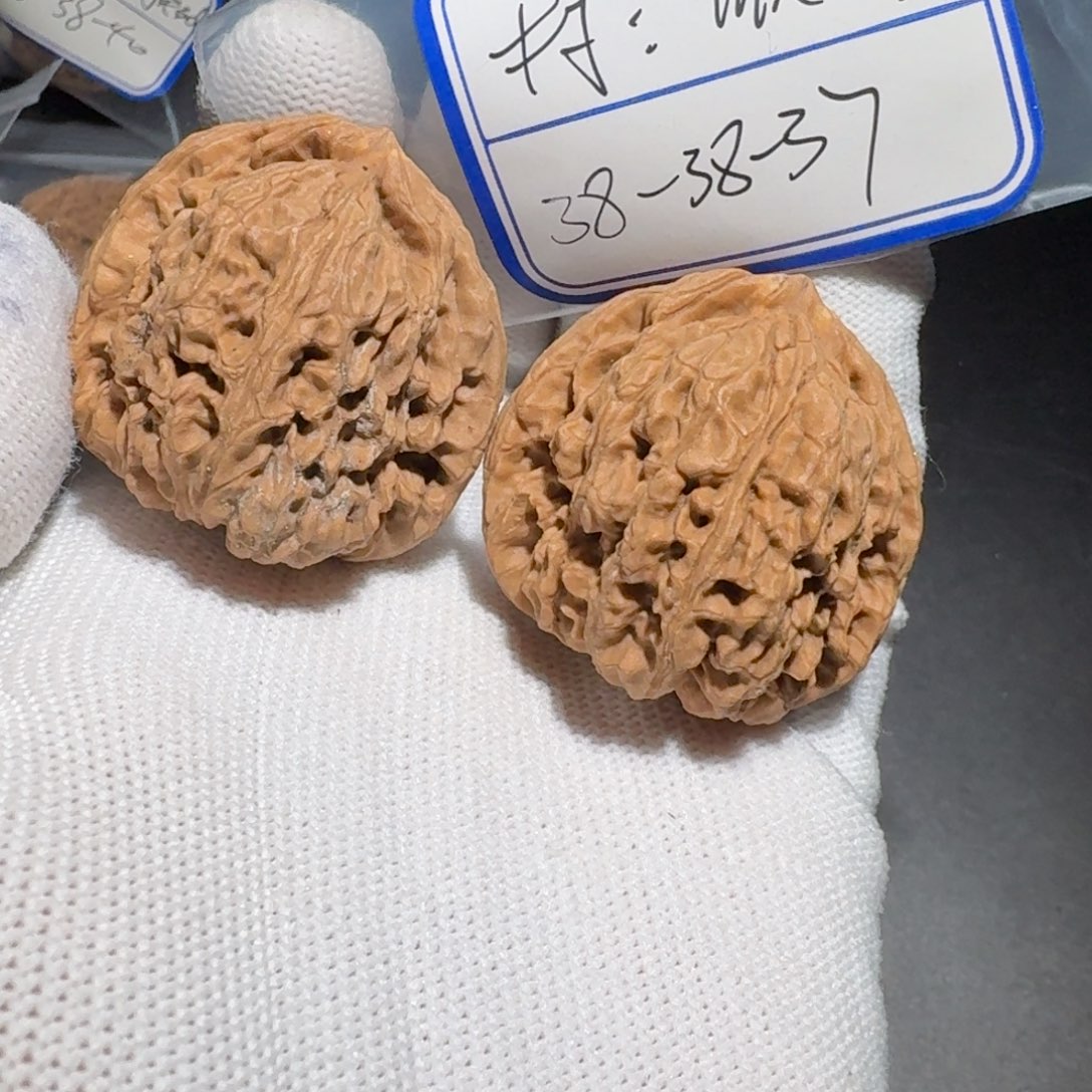 文玩核桃把件66号村将有黄