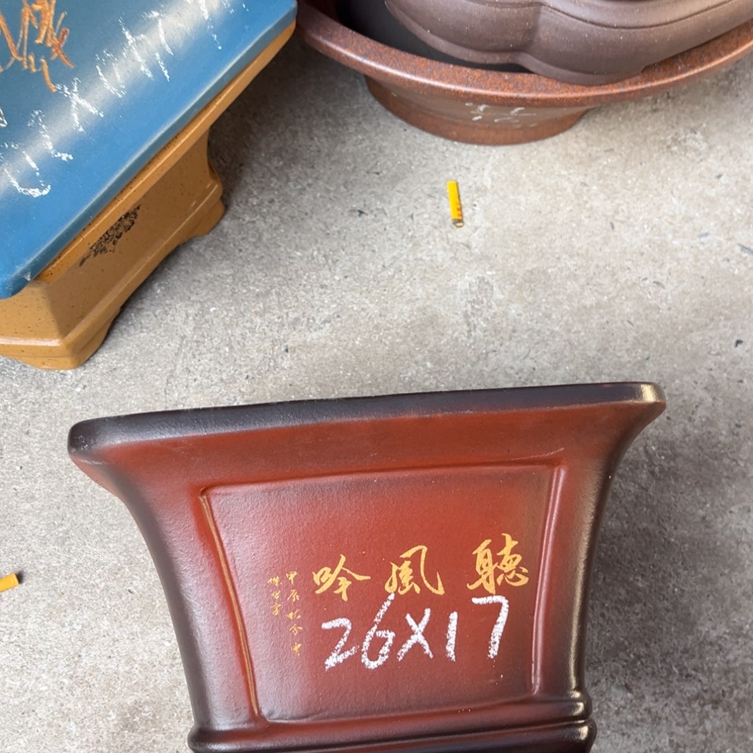 花盆紫砂盆景艺术