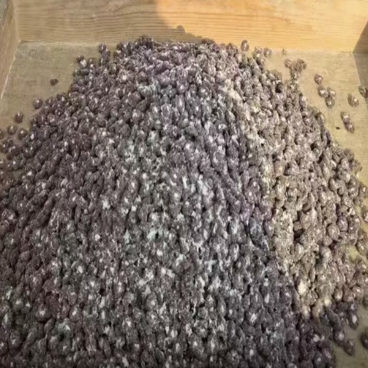 全价无谷猫粮适用于全猫种全生命周期三文鱼&番鸭
