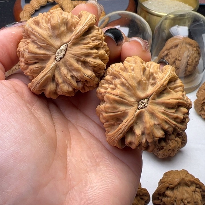 文玩核桃把件冨***料粗筋43