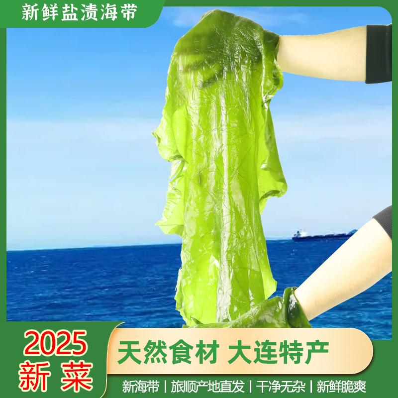 25年头茬大连旅顺新鲜盐渍整颗海带 净含量4.6斤